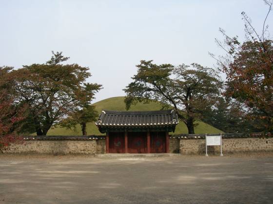 羉